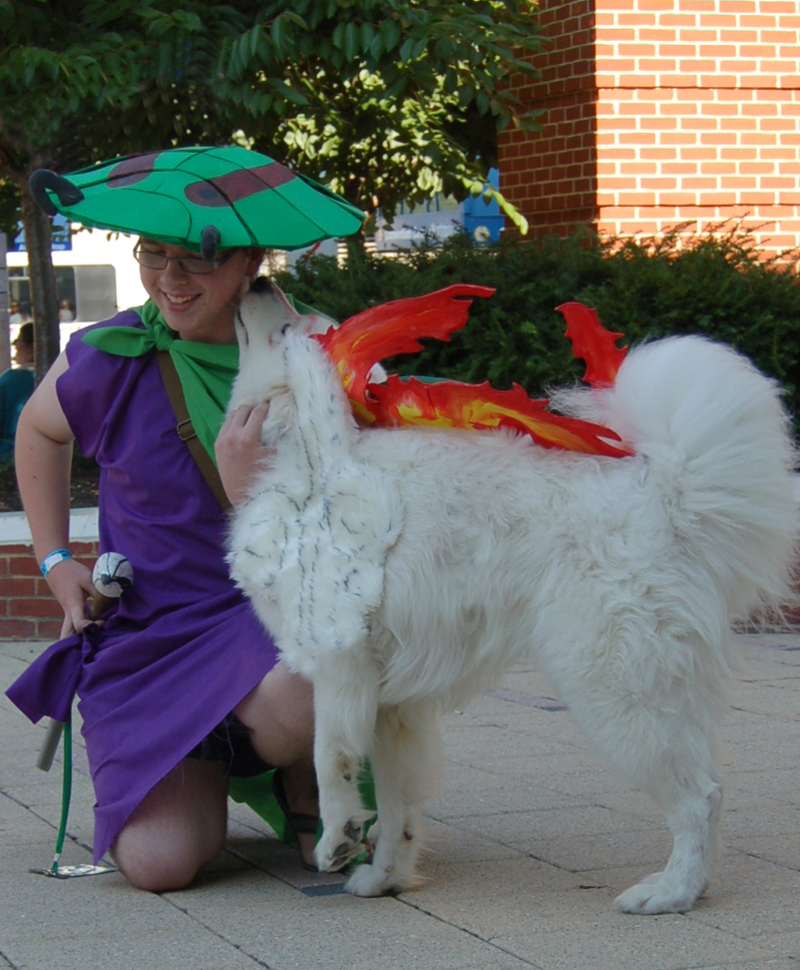 Illustration for article titled Meet a Dog That's Blissfully Unaware He's Cosplaying Amaterasu